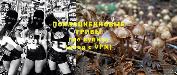бутират Алексин