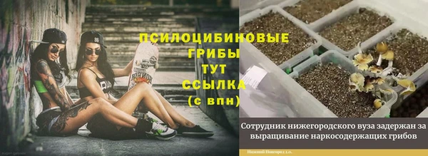 амфетамин Алексеевка
