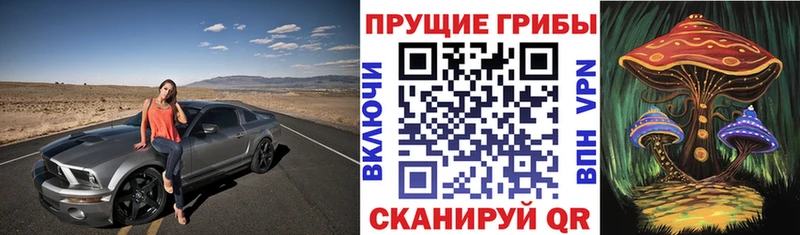 Псилоцибиновые грибы мицелий  Хвалынск 